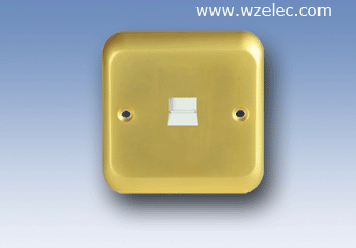 I12 电脑信号插座 温州厂商出口缅甸、苏丹金色金属面板+铜件 