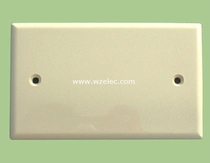 V22 空白面板白色/象牙色塑料/胶木面板温州厂家出口加拿大